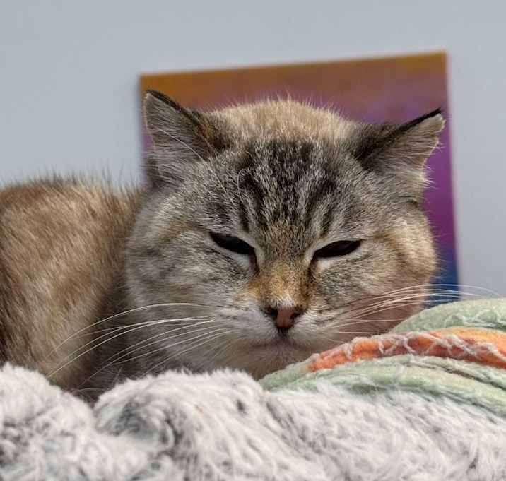 Photo of Wendy