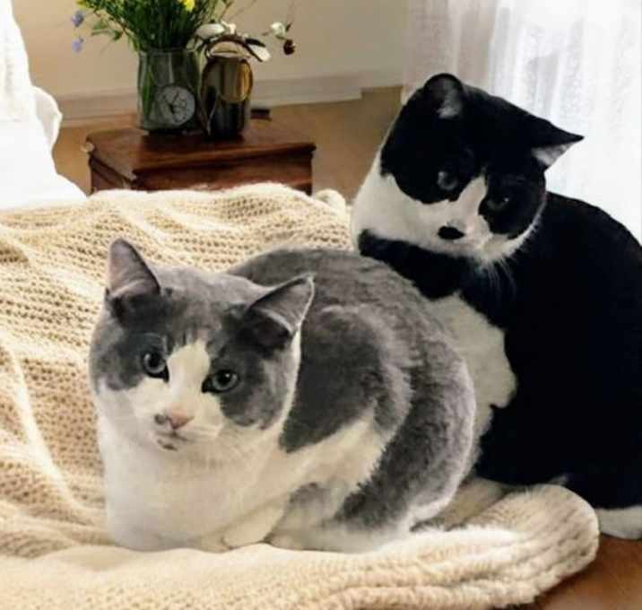 Photo of Corey & Tirzah