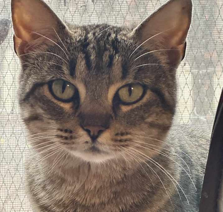 Photo of Birdie