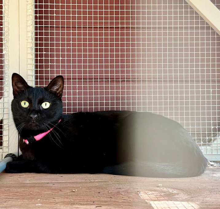 Photo of Jasmine