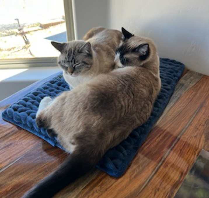 Photo of Ranger & Lily (Courtesy List)