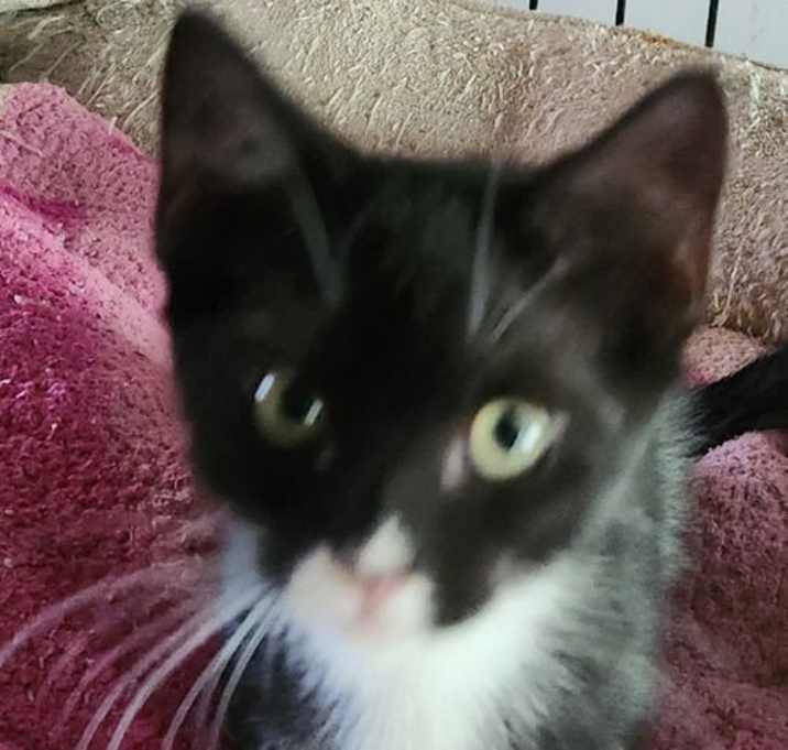 Photo of Delores