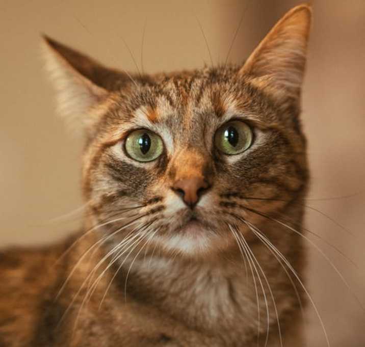 Photo of Mabel