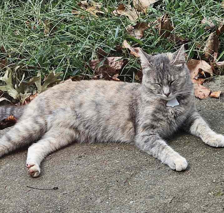 Photo of Chiquita