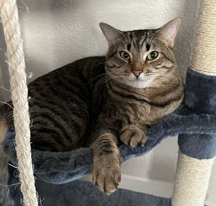 Photo of Lucky