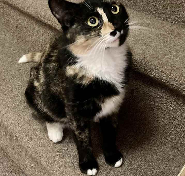 Photo of Gretchen