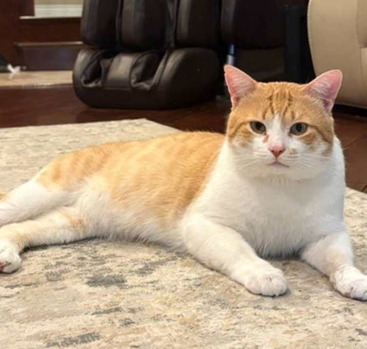 Photo of Henry Jr