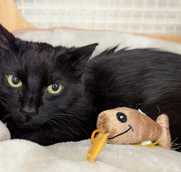 Photo of Joyce 0349
