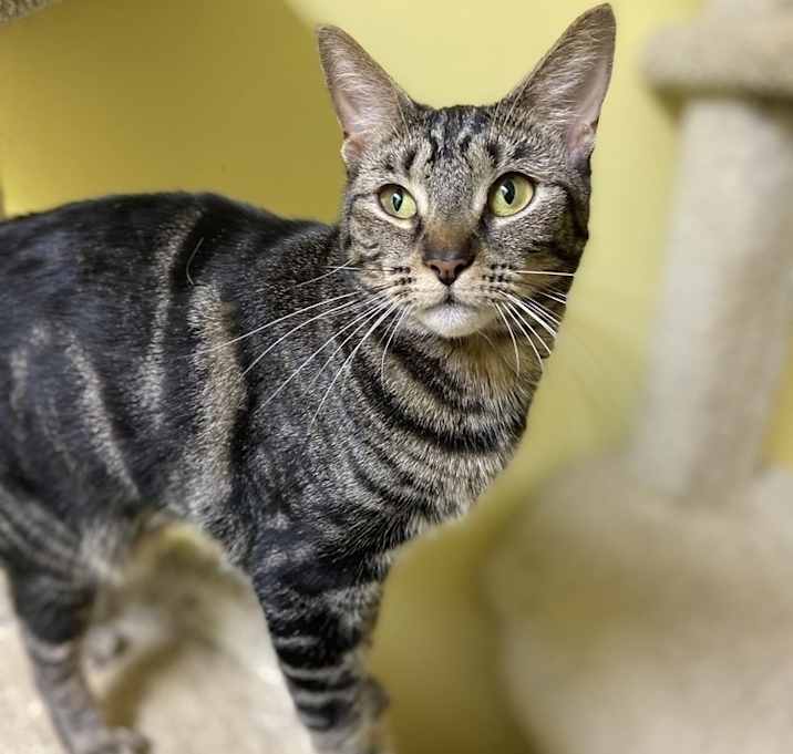 Photo of Nellie