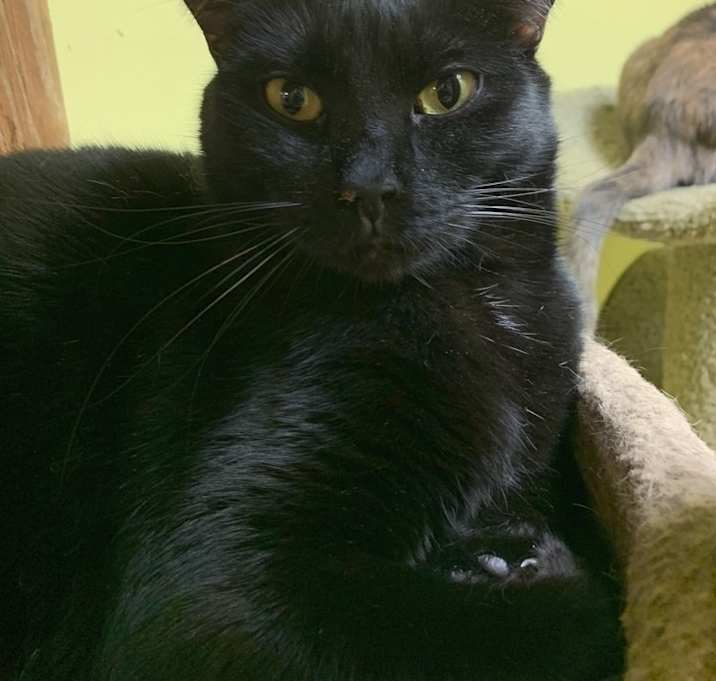 Photo of Marvin