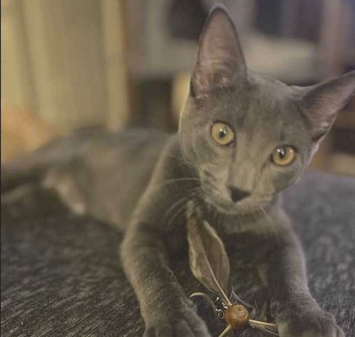 Photo of Maksim