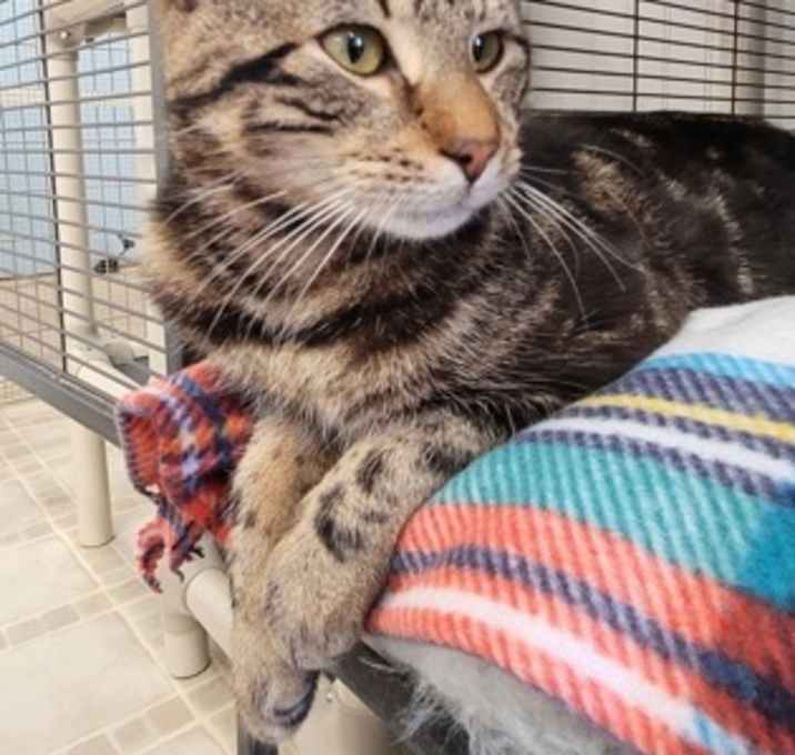 Photo of Puck