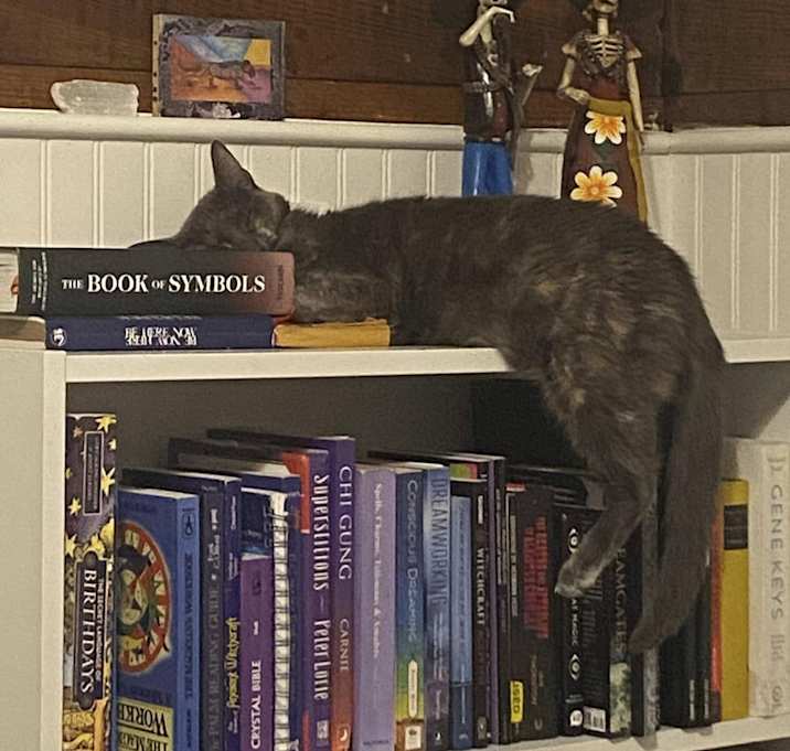 Photo of Persephone