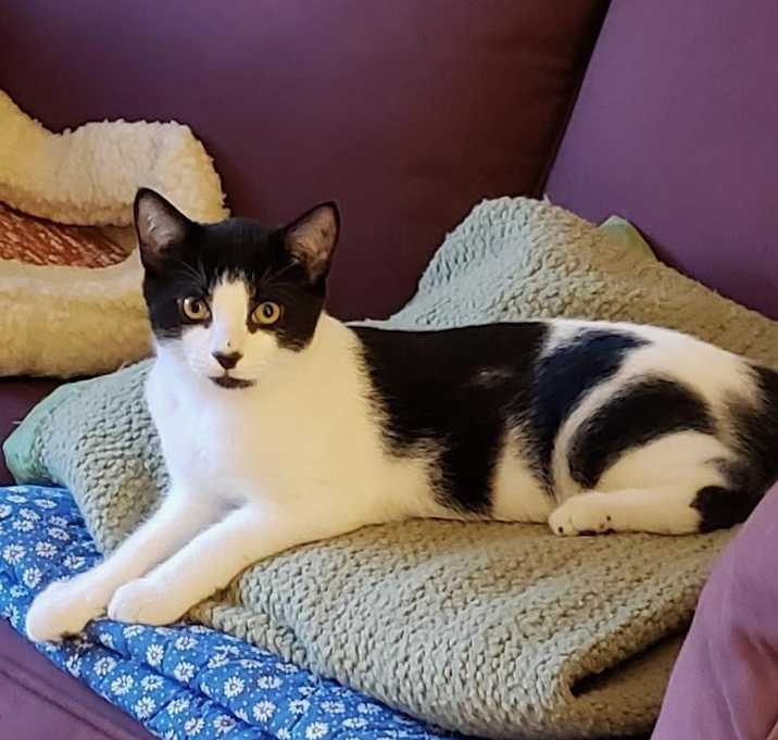 Photo of Freddy