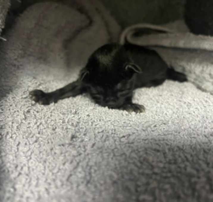 Photo of No Name
