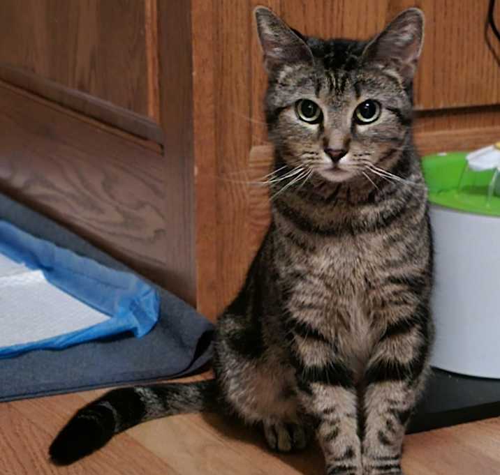 Photo of Evie