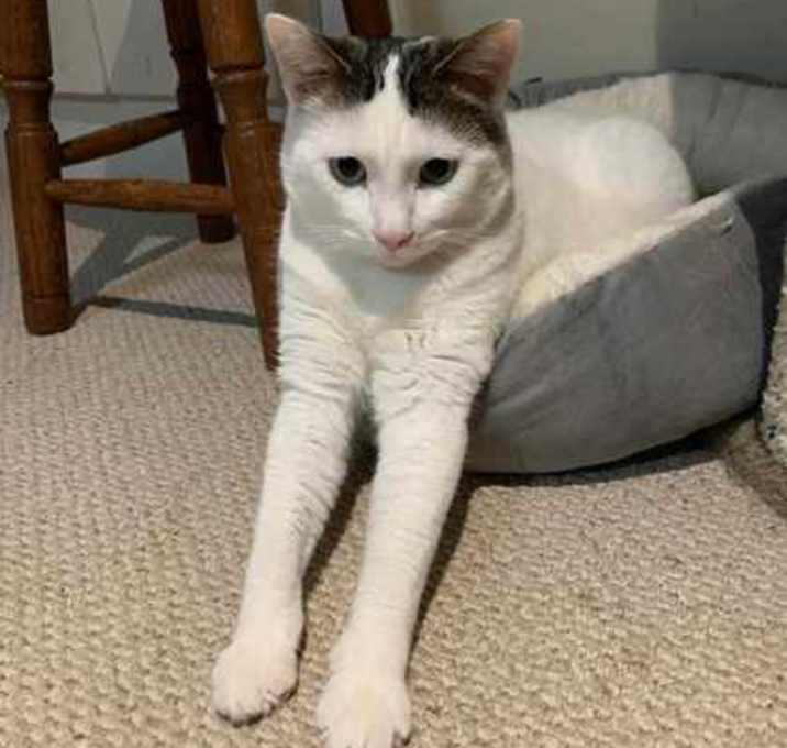 Photo of CORIANDER (BONDED WITH TAMARIN