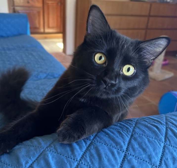 Photo of Cabrio