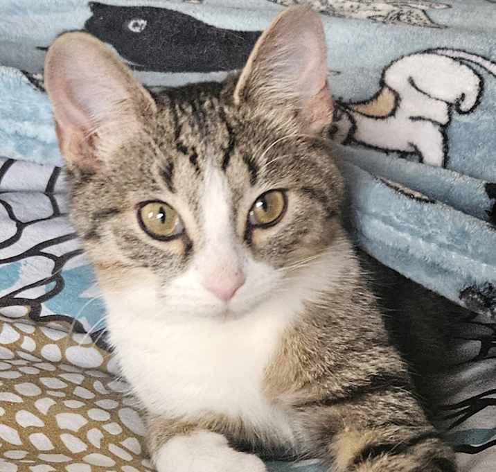 Photo of Seeker