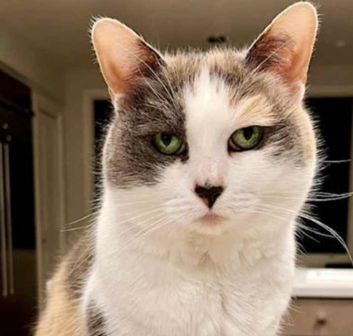 Photo of Poppy