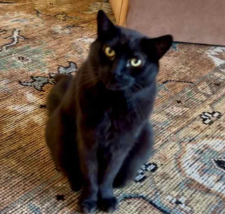 Photo of Inky
