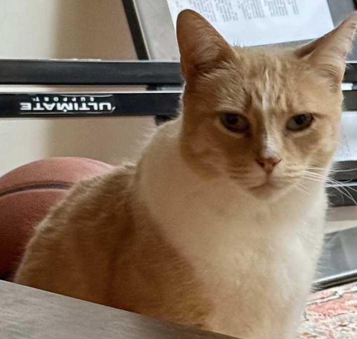 Photo of Tito