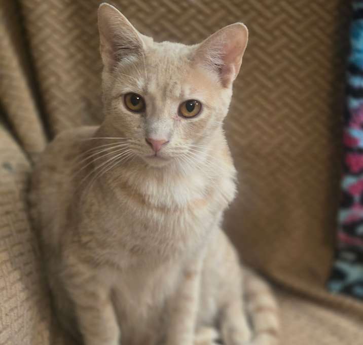 Photo of Genie