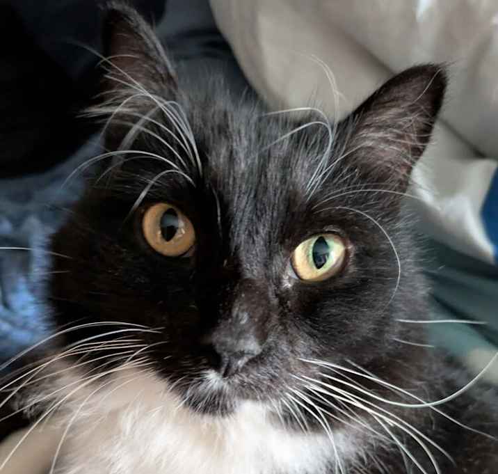 Photo of Sprite 3