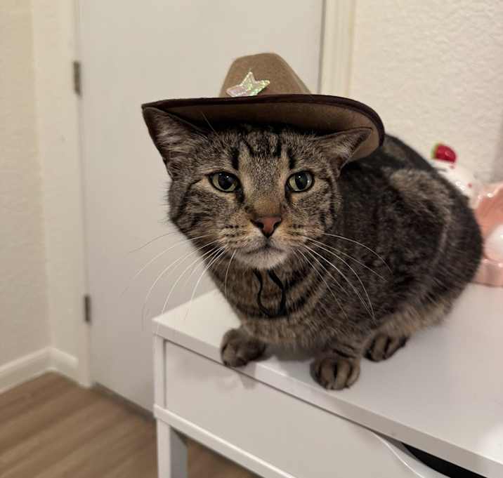 Photo of Jose Cuervo