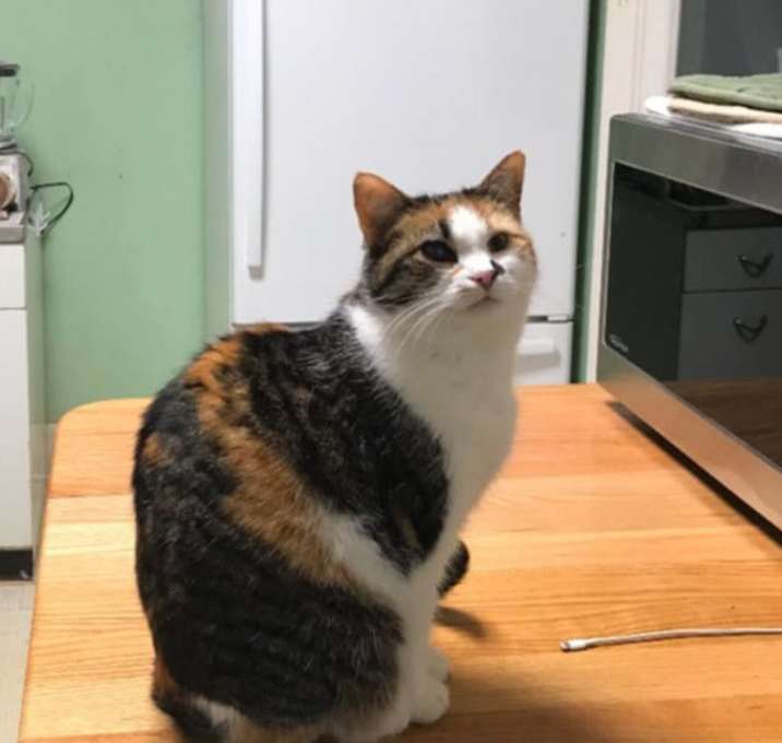 Photo of Mama Girl- sponsored!