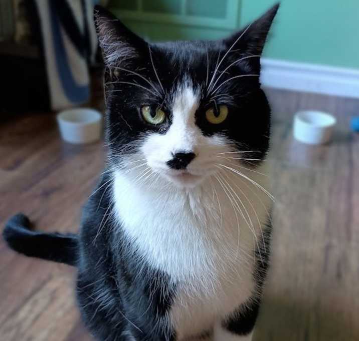 Photo of Coal