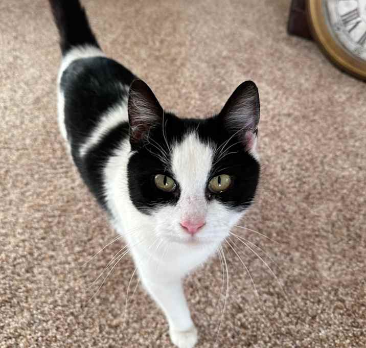 Photo of Bessie