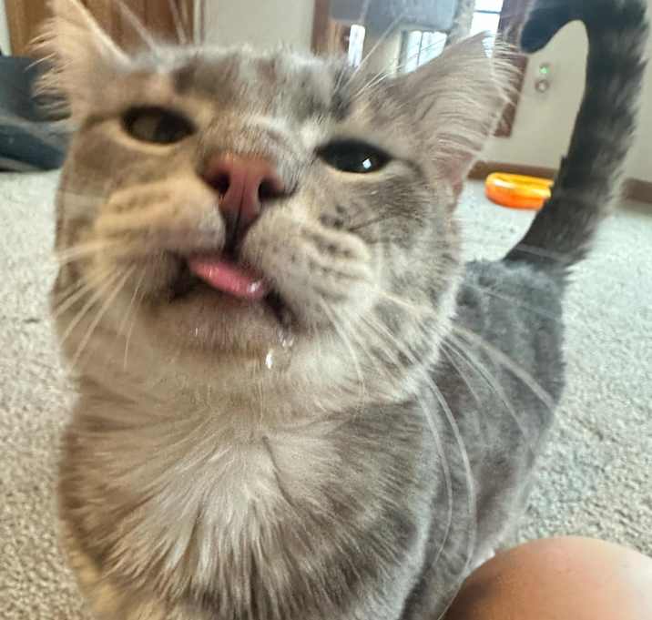 Photo of Charlie
