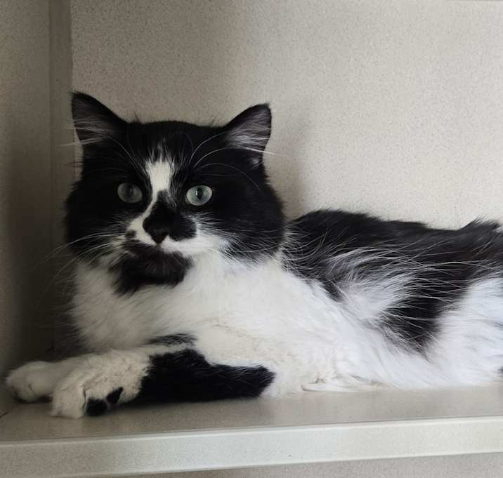 Photo of Peppermint Patty