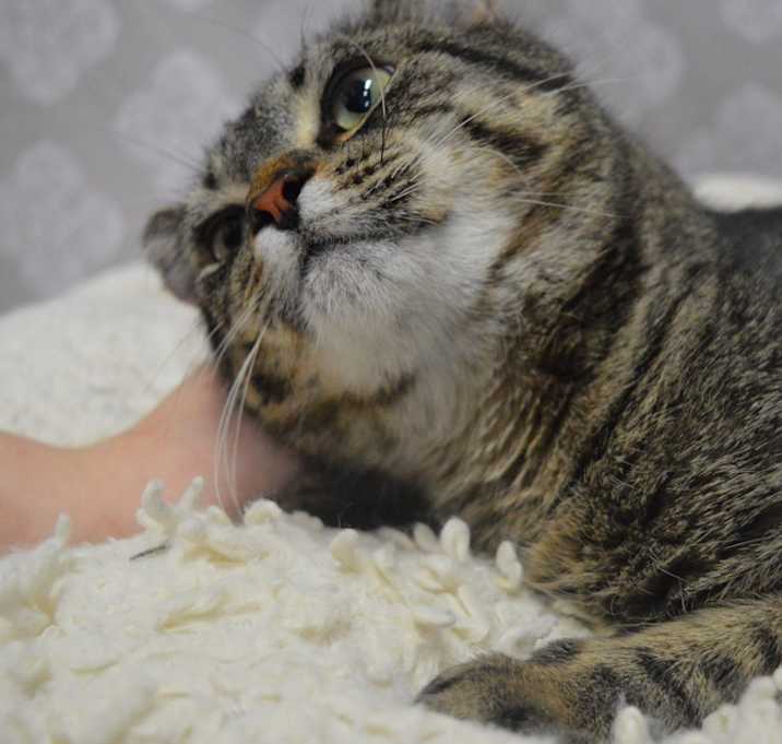 Photo of Fiona