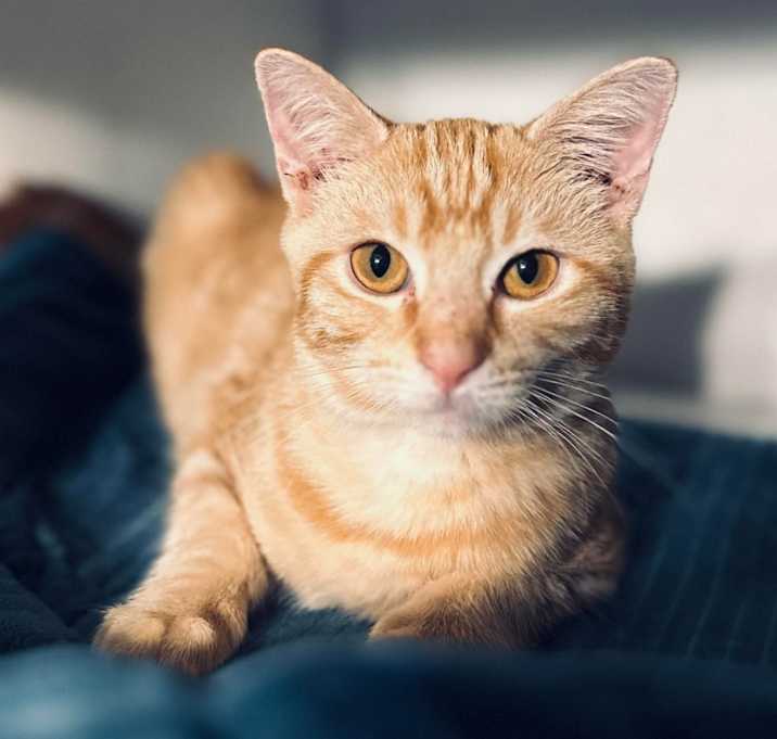 Photo of Owen