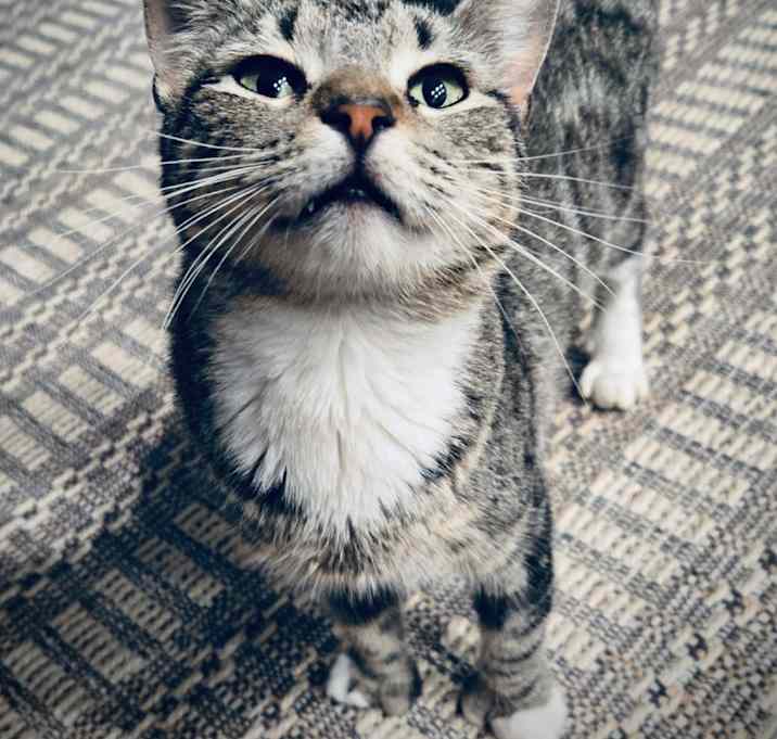 Photo of Polly