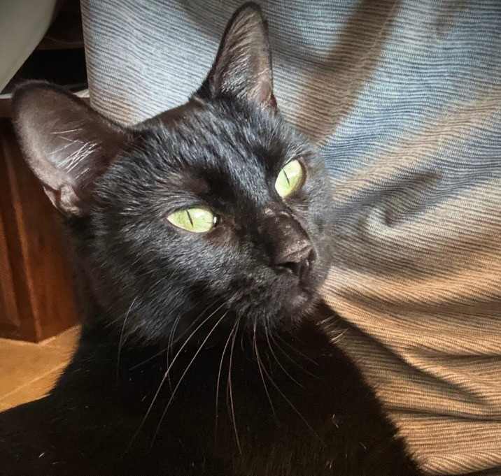 Photo of Jenny