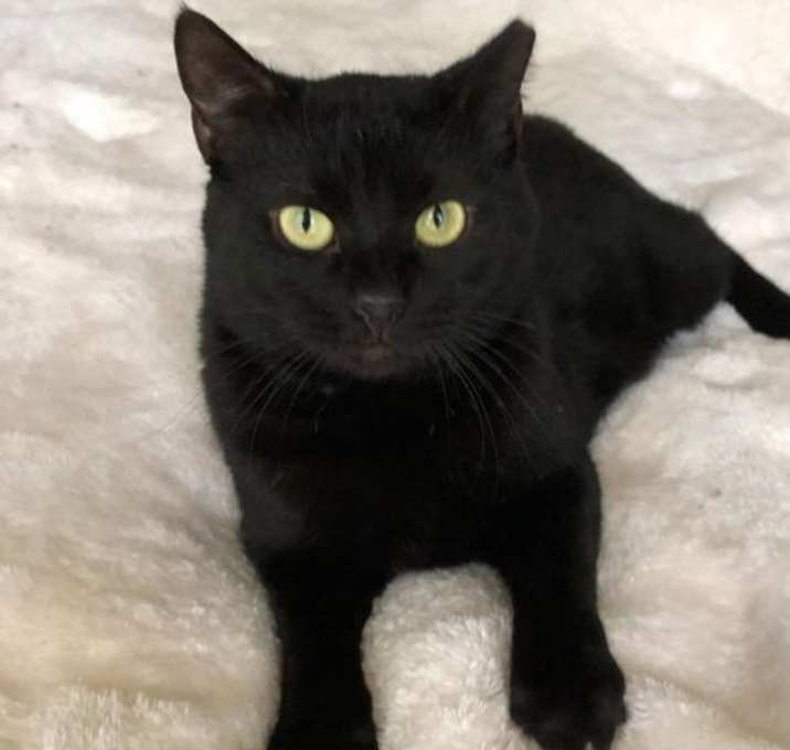 Photo of Ulysses