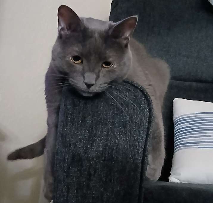 Photo of Eva