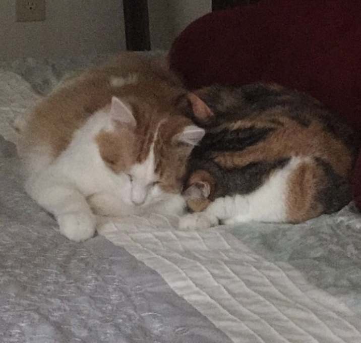 Photo of Mama&Maci