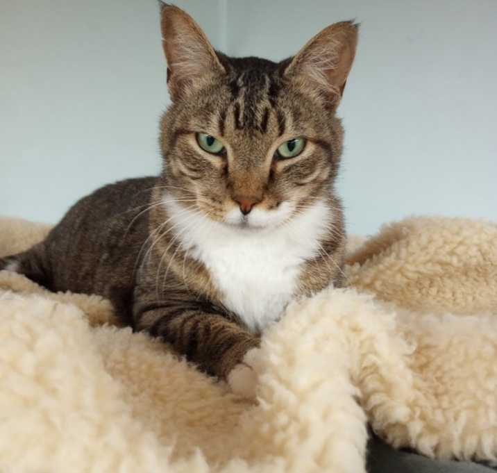 Photo of George