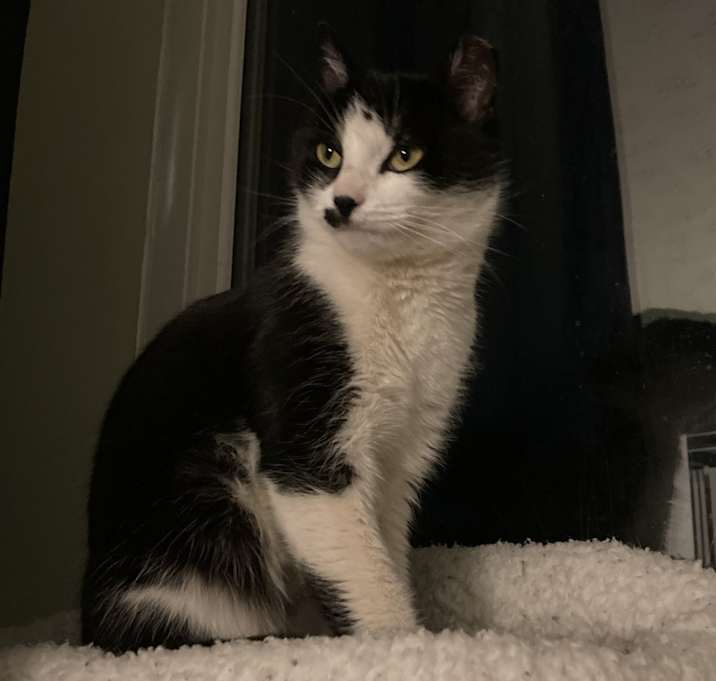 Photo of Mitzi