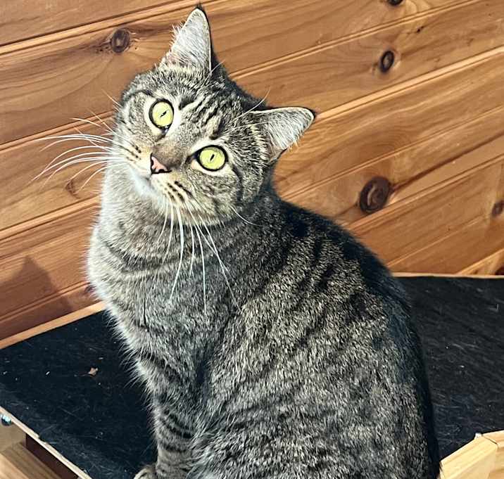 Photo of Dottie