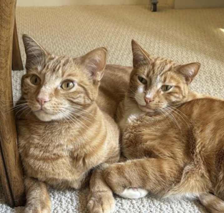 Photo of Nemo and Marlen