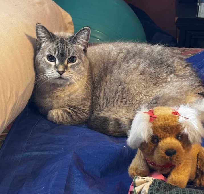Photo of Luna