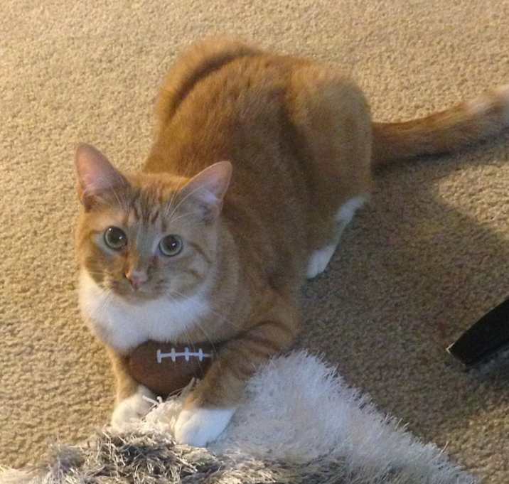 Photo of Sophie