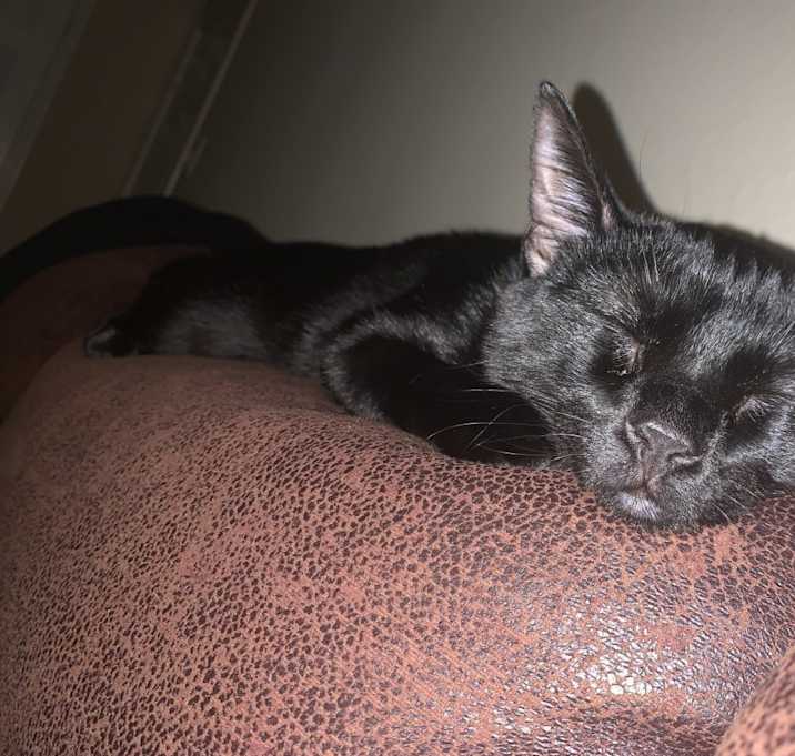 Photo of Jack