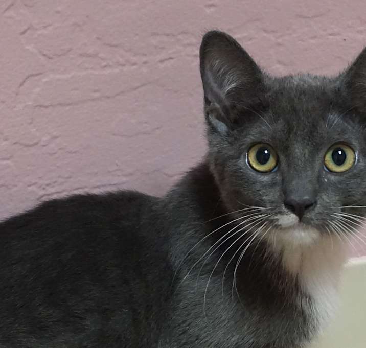 Photo of Hudson