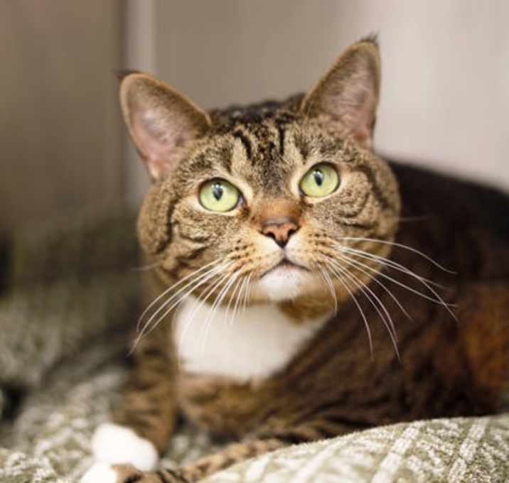 Photo of Wiggle